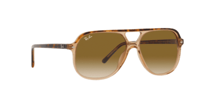 Ray-Ban Bill RB2198-129251 - Bruin