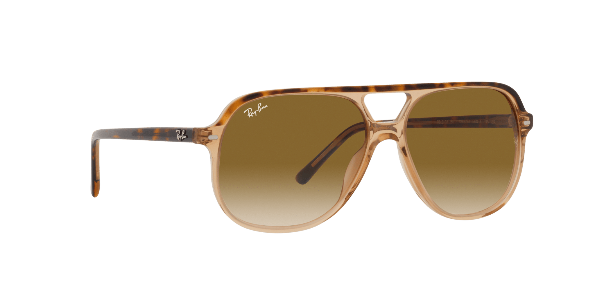 Ray-Ban Bill RB2198-129251 - Bruin